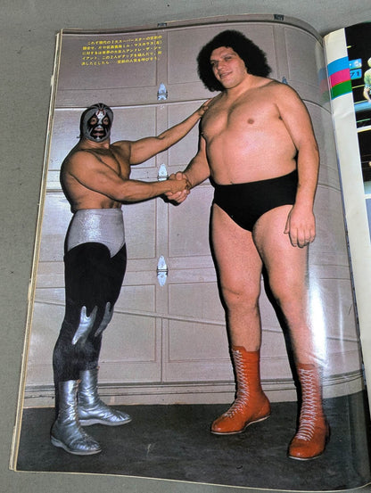 Mil Mascaras  The Brilliant World PART 2