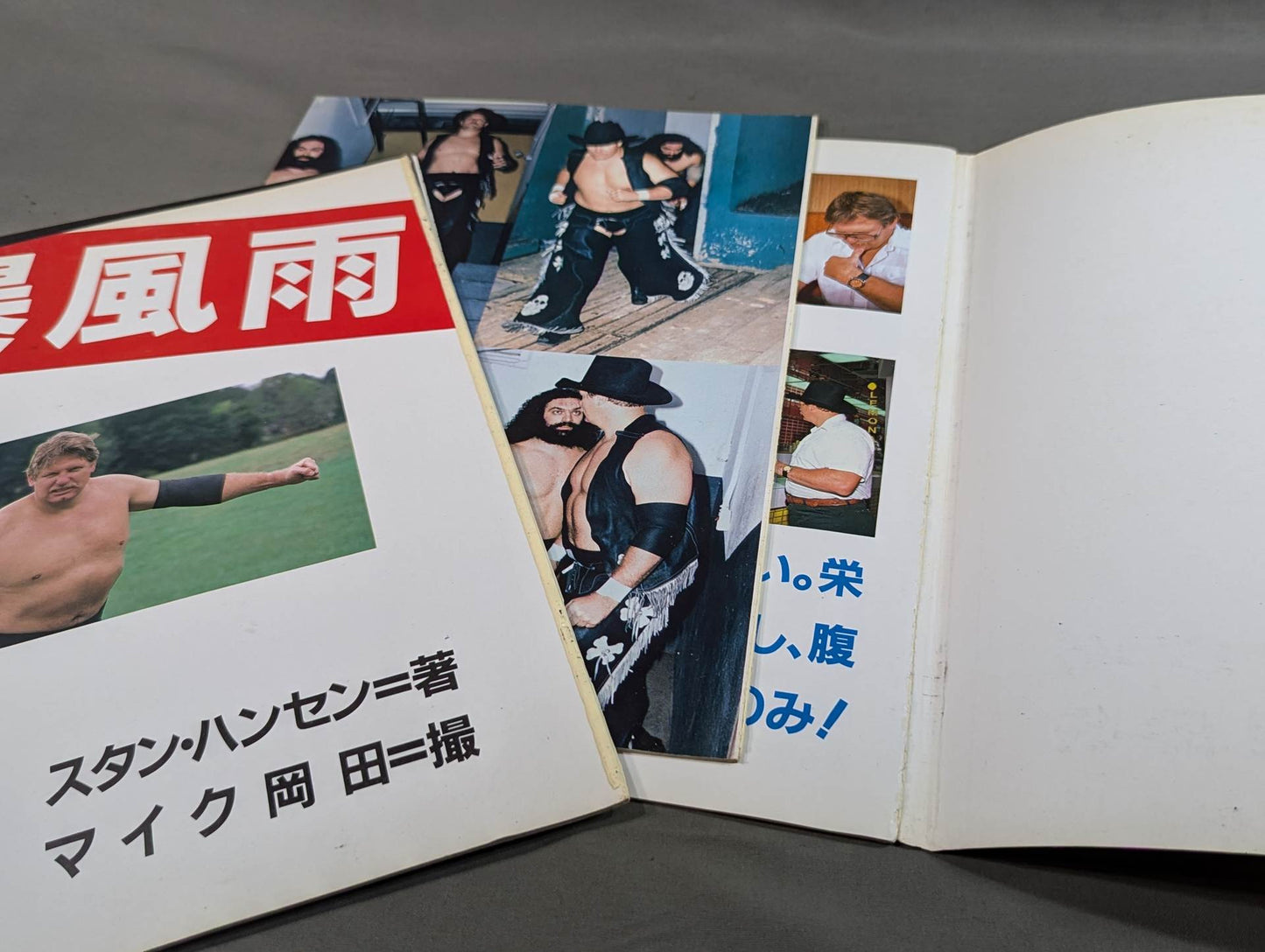 Stan Hansen photos and poems [Storm]