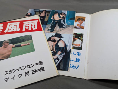 Stan Hansen photos and poems [Storm]