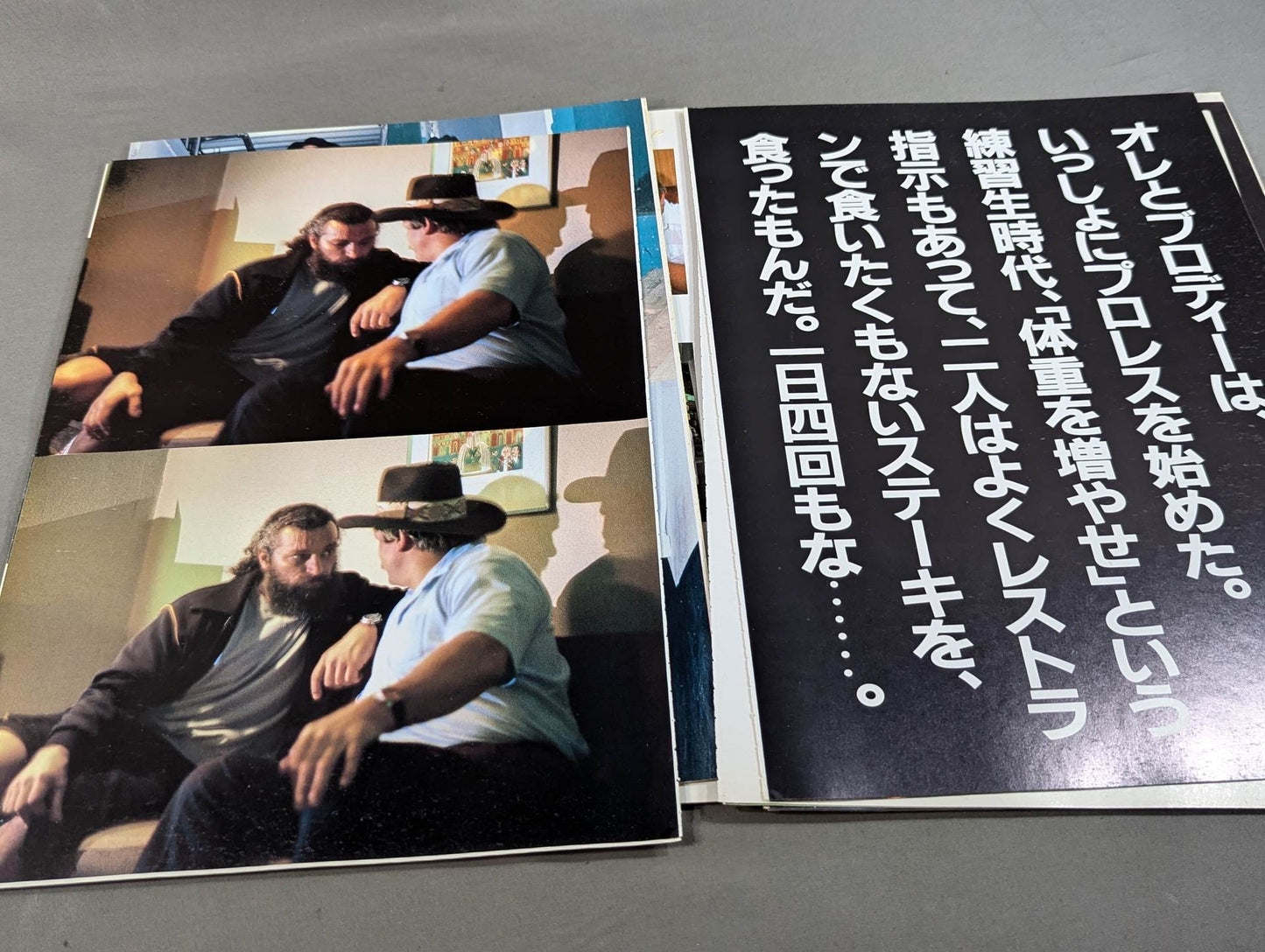 Stan Hansen photos and poems [Storm]