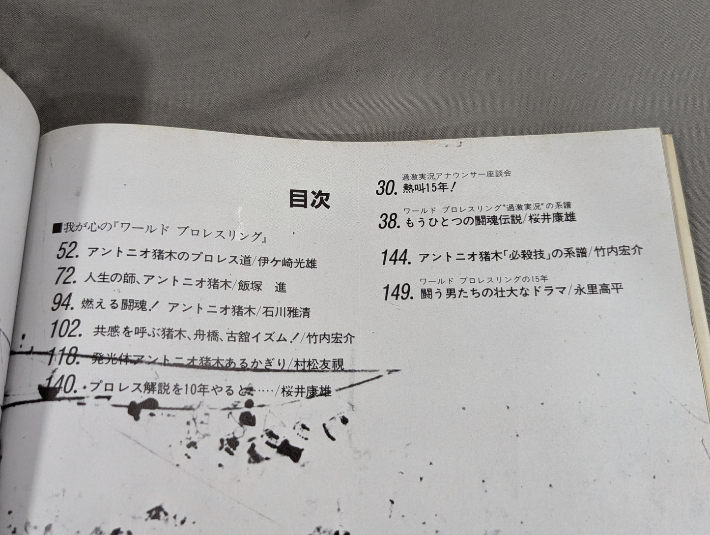 Wonderland of Struggle 15 Years of World Pro-Wrestling