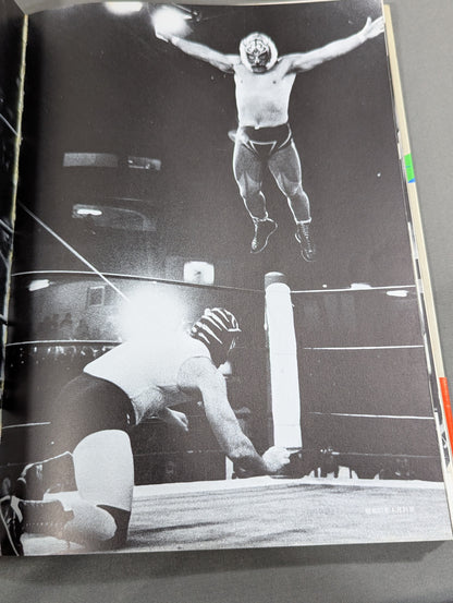 Wonderland of Struggle 15 Years of World Pro-Wrestling