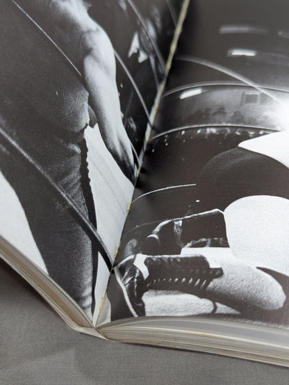 Wonderland of Struggle 15 Years of World Pro-Wrestling