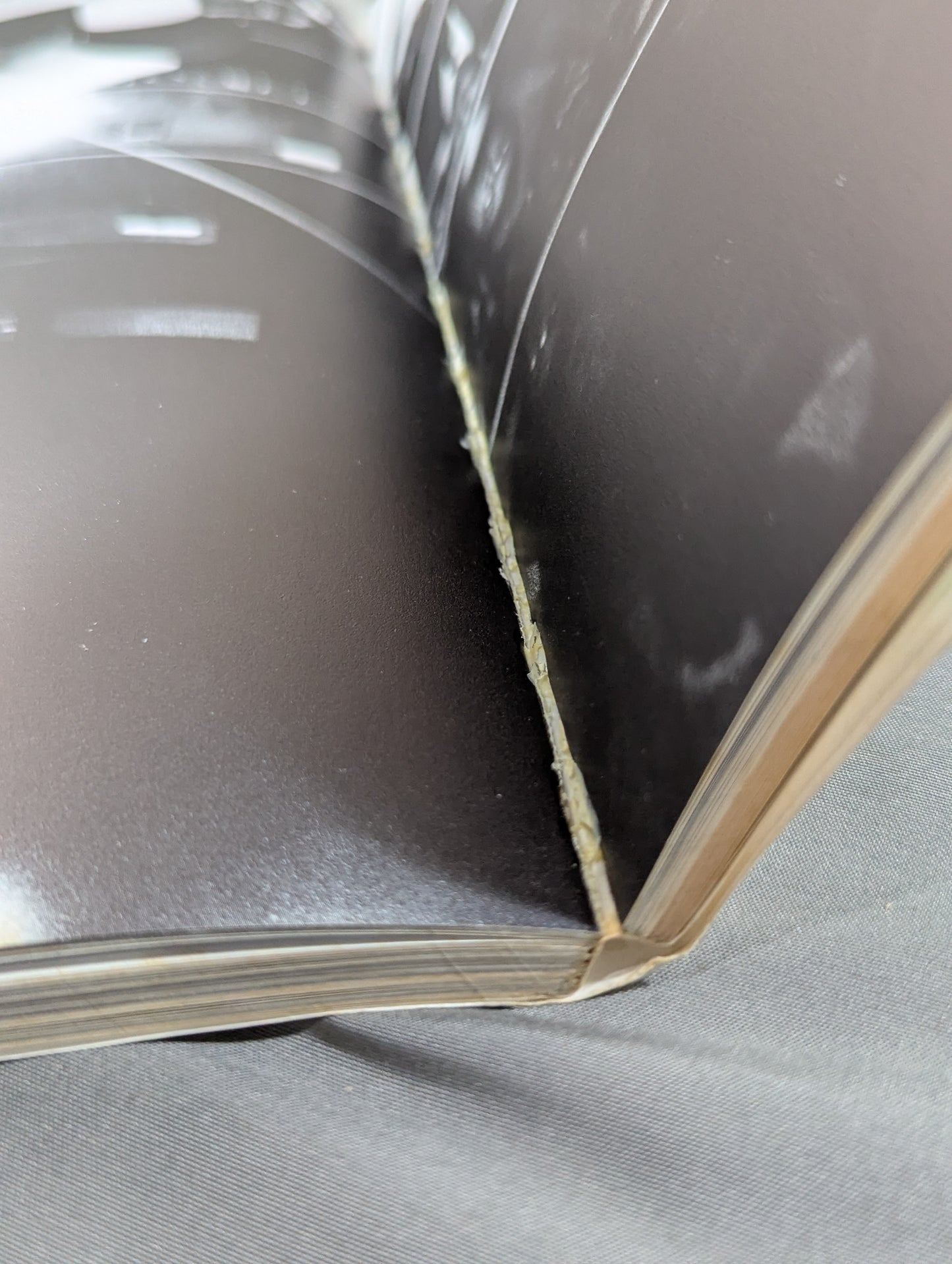 Wonderland of Struggle 15 Years of World Pro-Wrestling