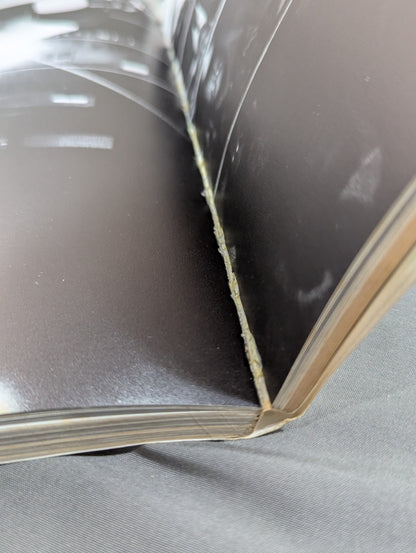 Wonderland of Struggle 15 Years of World Pro-Wrestling