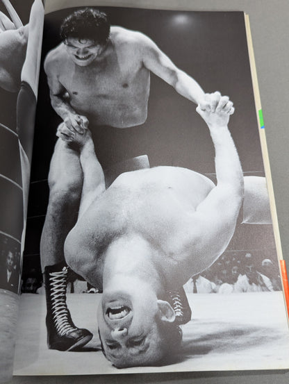 Wonderland of Struggle 15 Years of World Pro-Wrestling