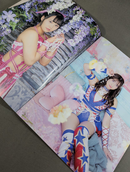 GRAND PRINCESS'26 not sold in stores Visual Book