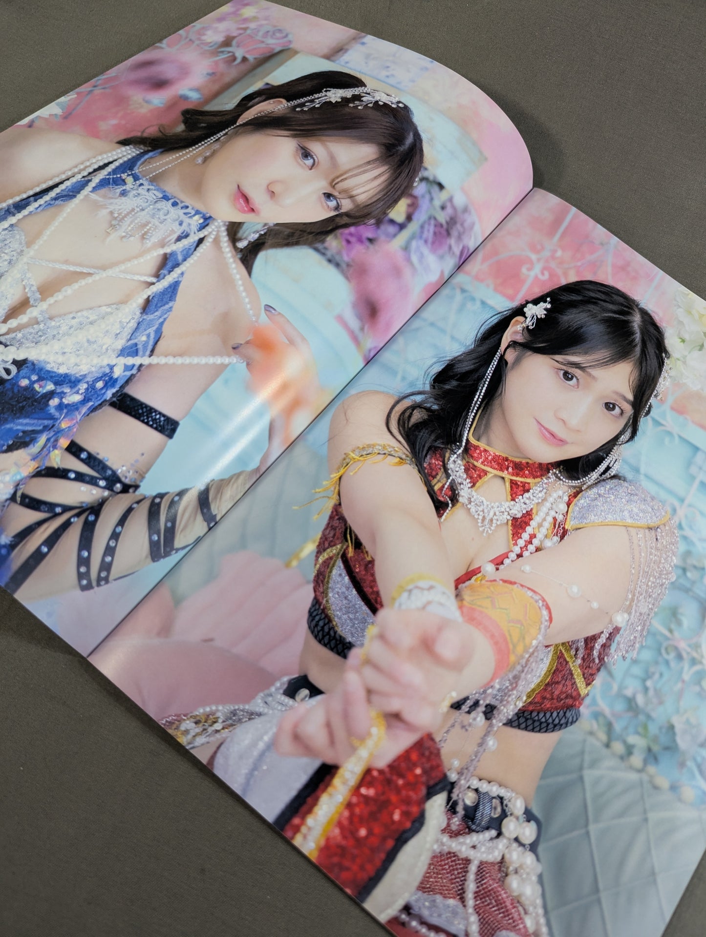 GRAND PRINCESS'26 not sold in stores Visual Book