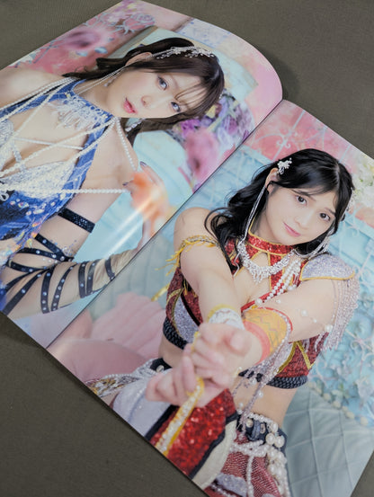 GRAND PRINCESS'26 not sold in stores Visual Book