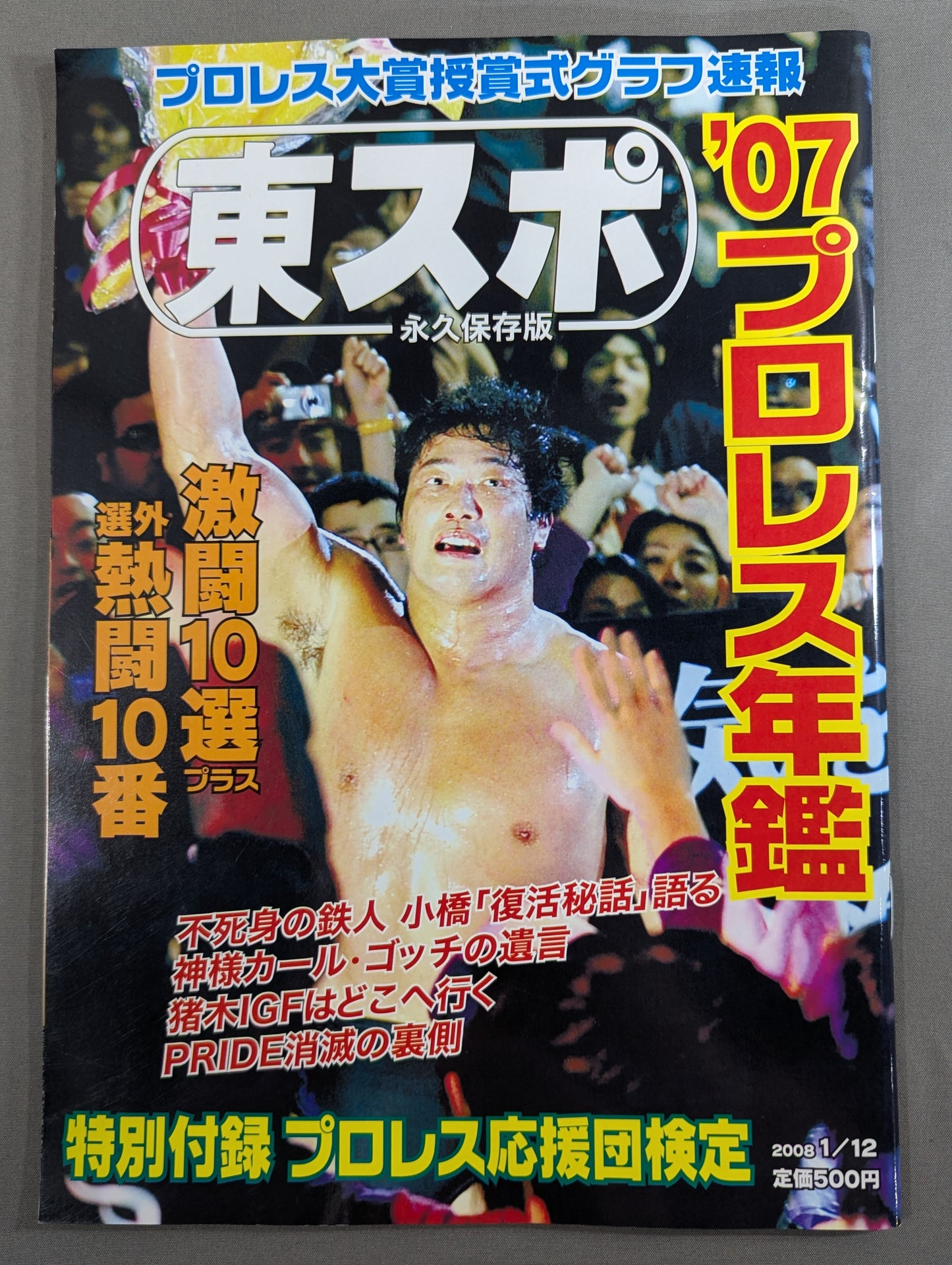 Tospo Permanent Preservation Edition '07 Pro Wrestling  Yearbook