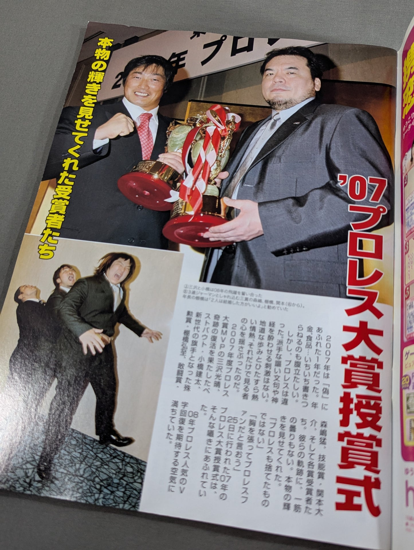 Tospo Permanent Preservation Edition '07 Pro Wrestling  Yearbook