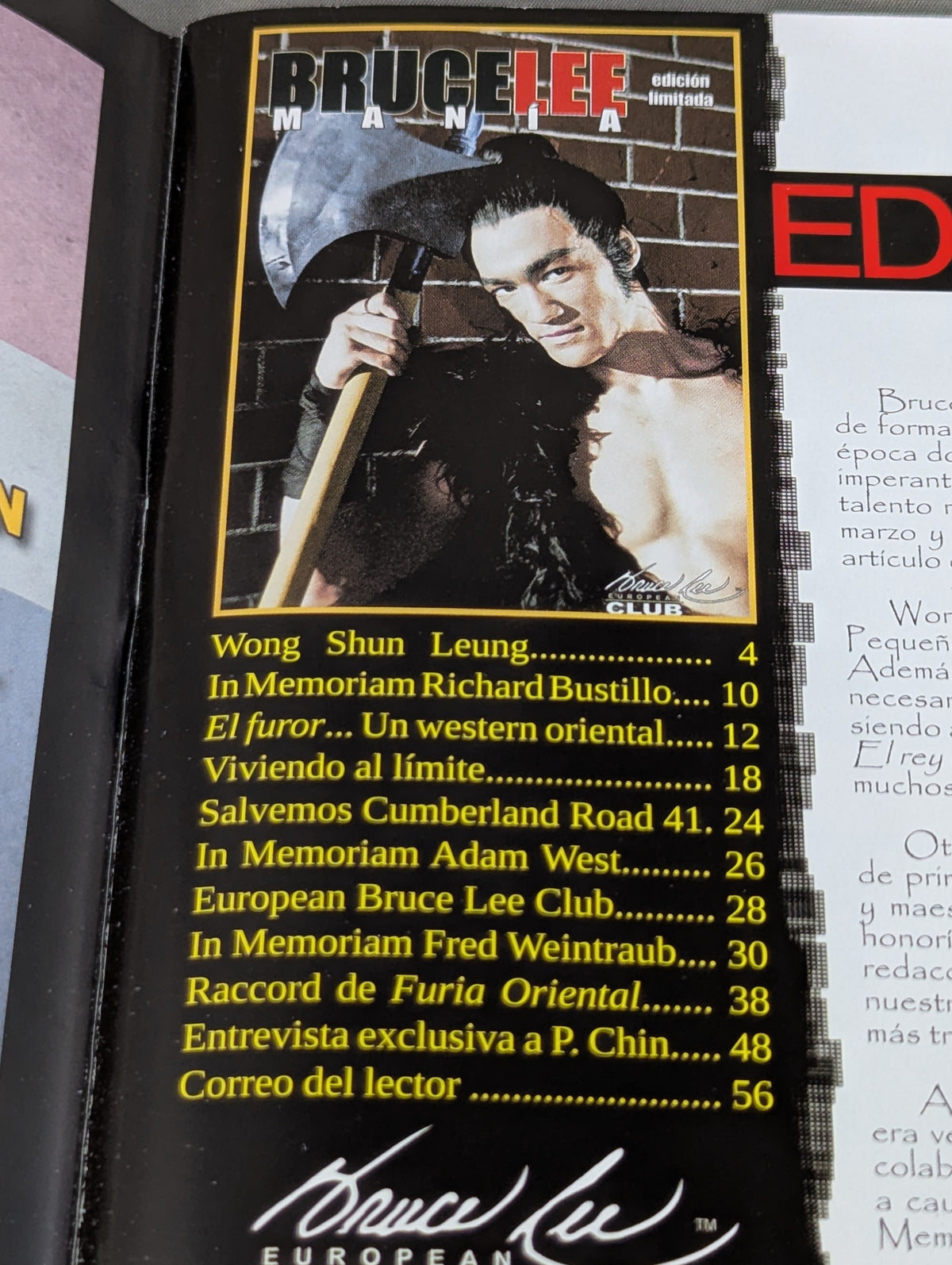 BRUCE LEE MANIA No.18