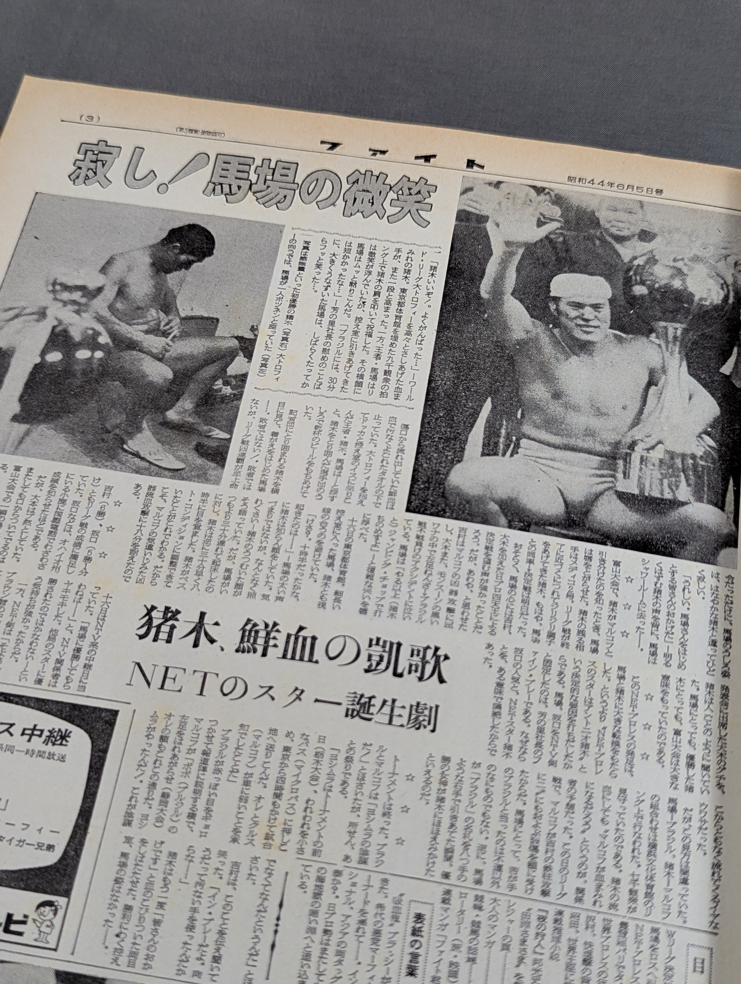 ファイト縮刷版 アントニオ猪木引退記念 – 闘道館
