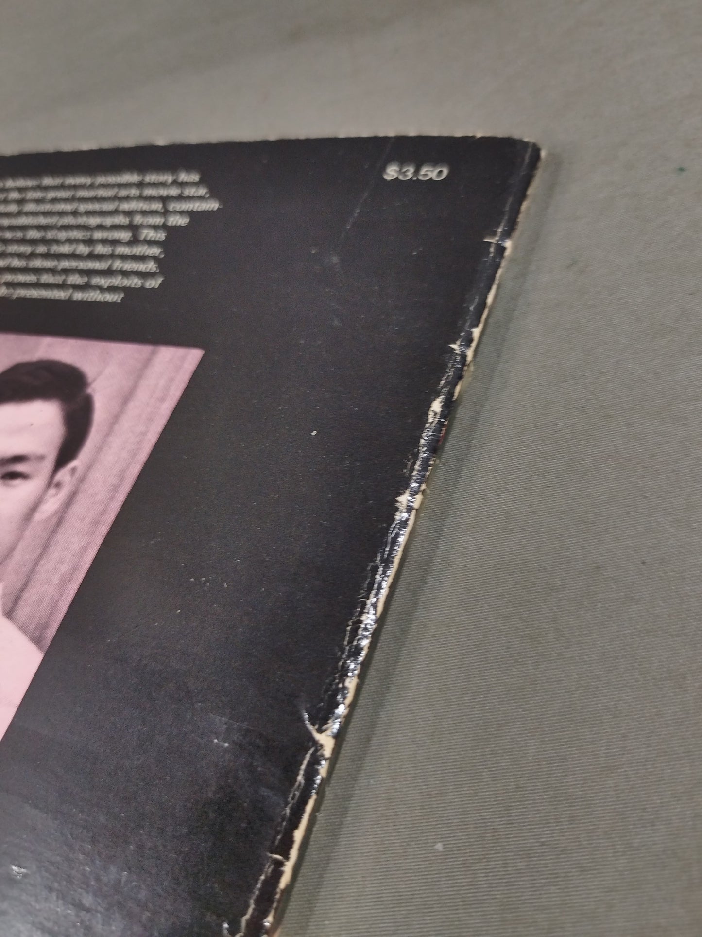 BRUCE LEE The Untold Story
