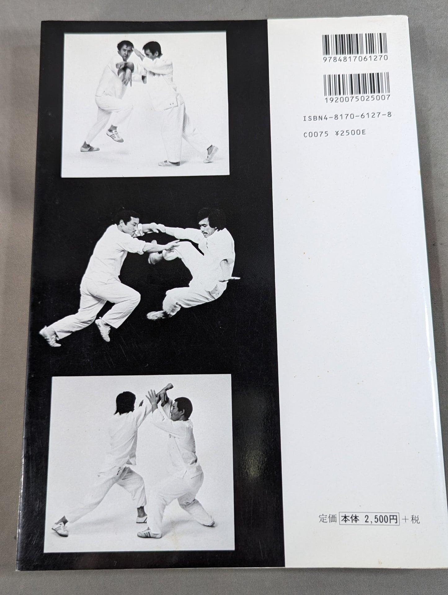 実戦中国拳法 太気拳 新装版