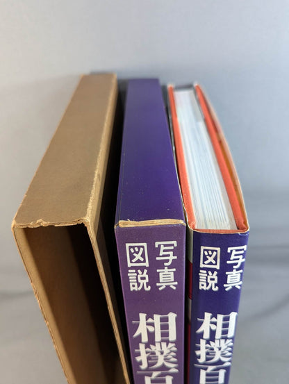 Photo illustration 100 years of history of sumo wrestling