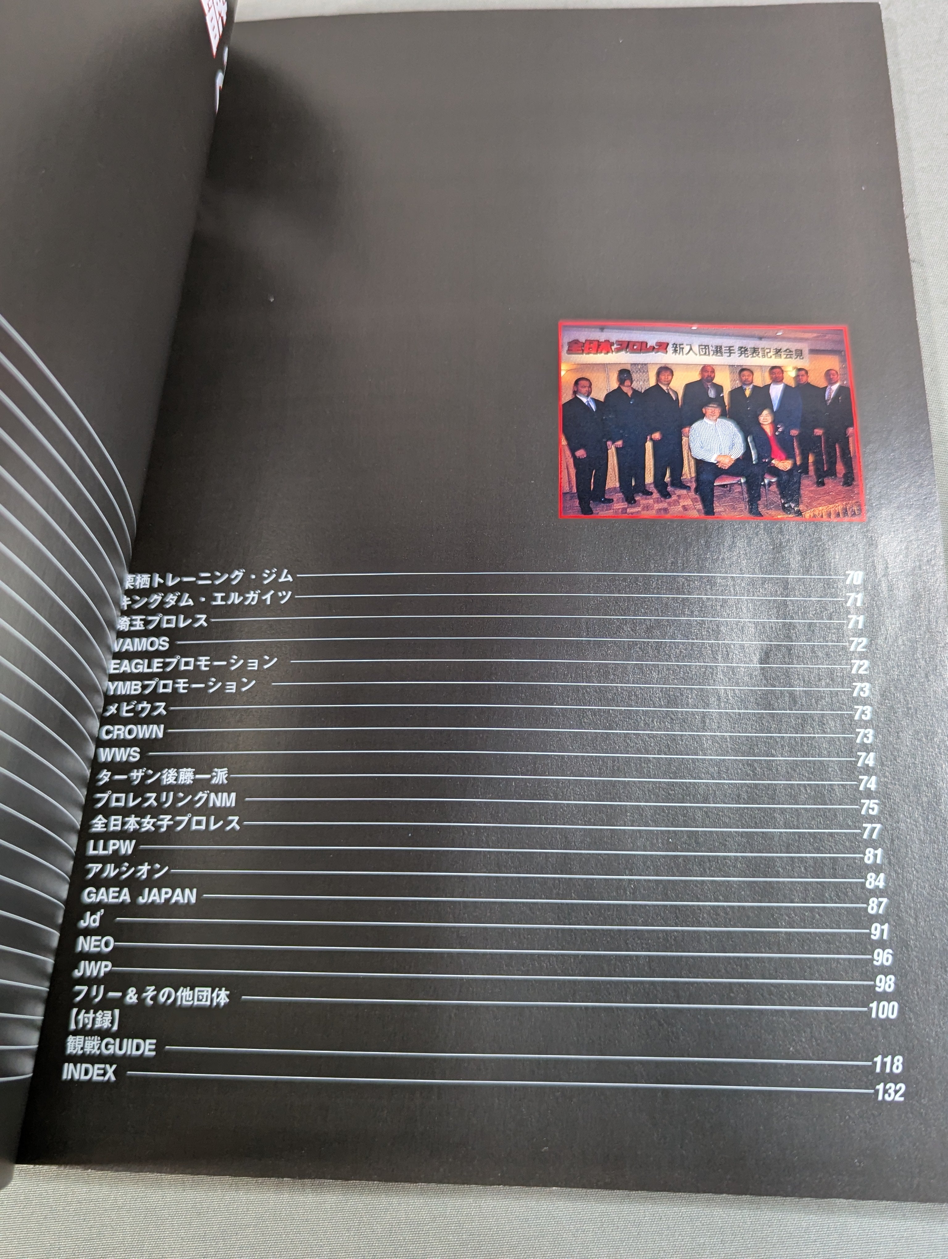 プロレスラー カラー写真名鑑2002 増補改訂版 – 闘道館