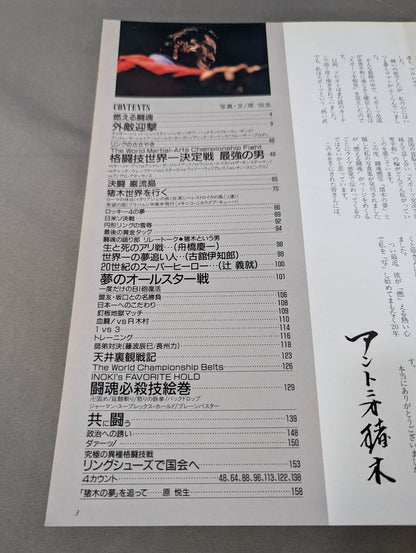 Fighting spirit burning Inoki 's dream