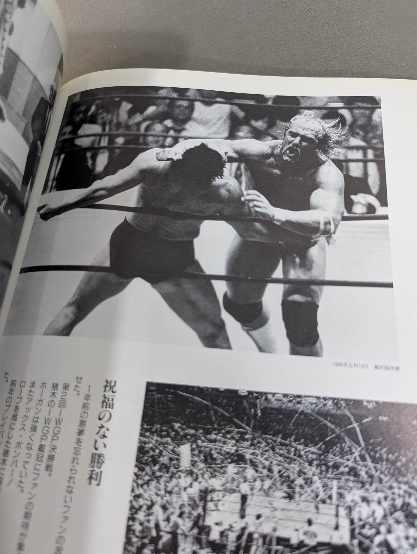 Fighting spirit burning Inoki 's dream