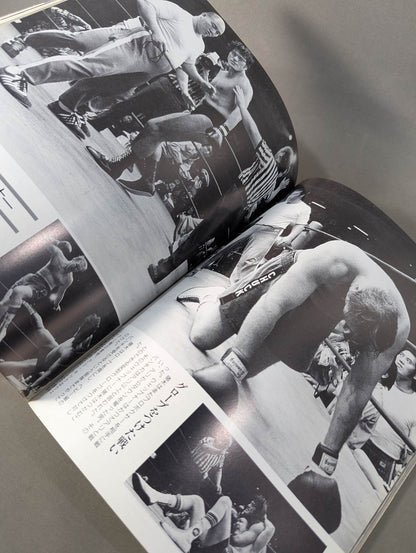 Fighting spirit burning Inoki 's dream