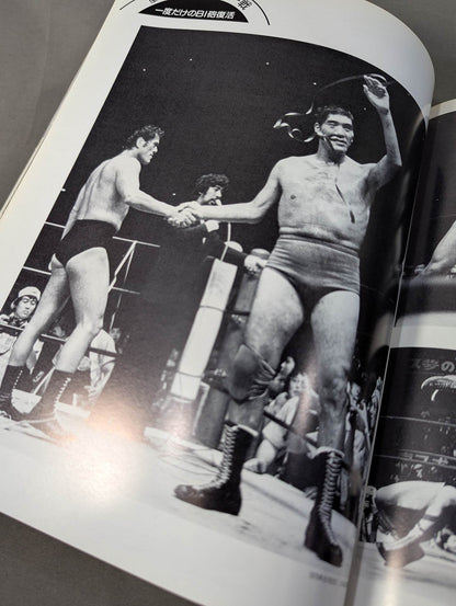 Fighting spirit burning Inoki 's dream