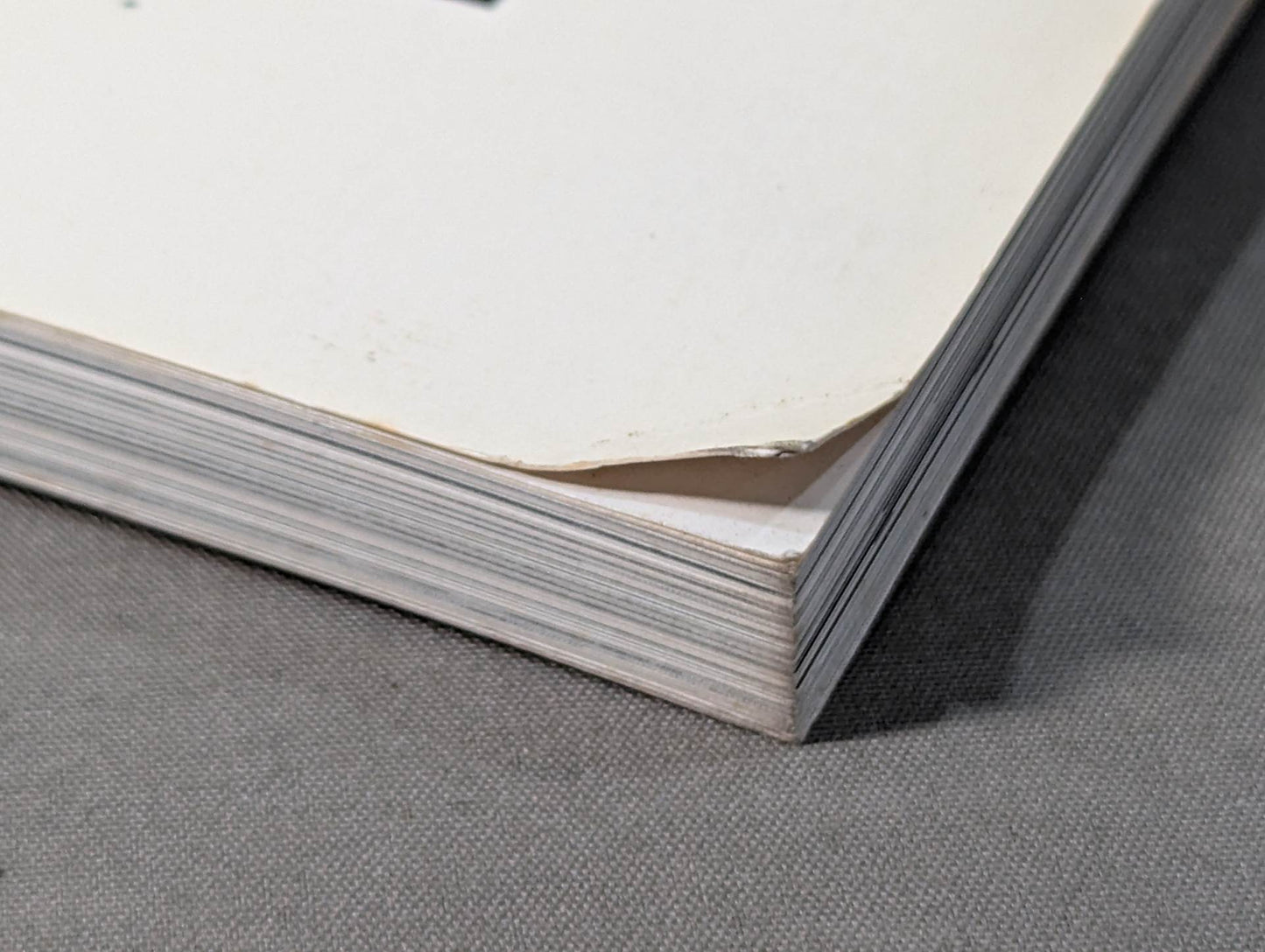 Fighting spirit burning Inoki 's dream