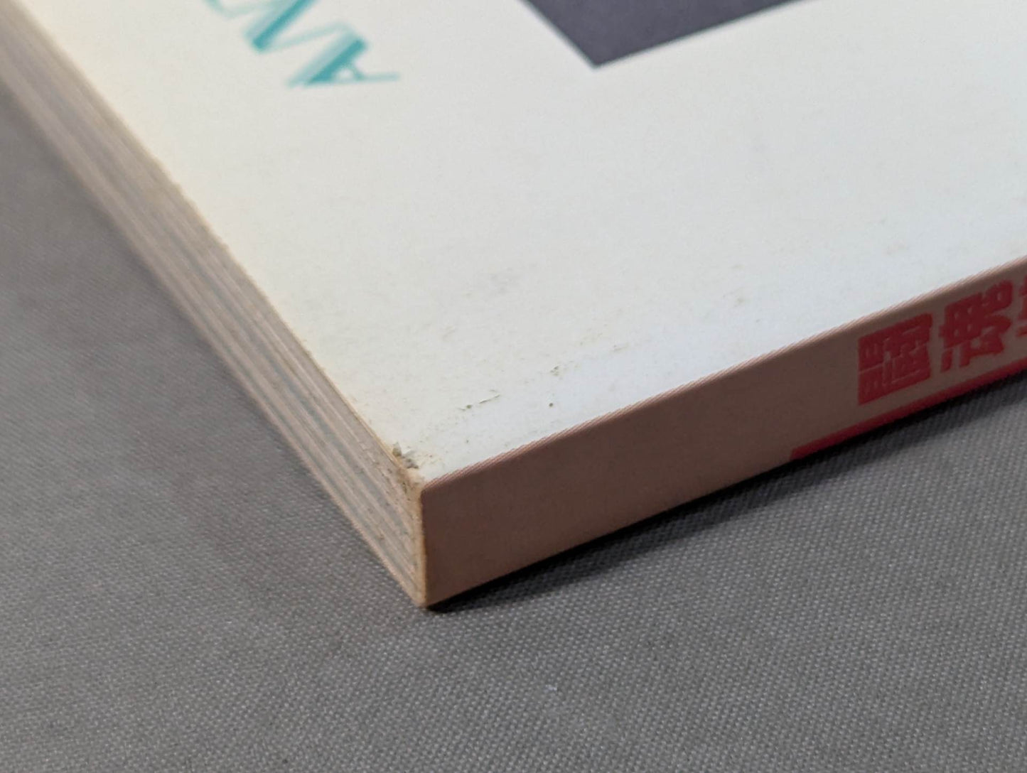 Fighting spirit burning Inoki 's dream