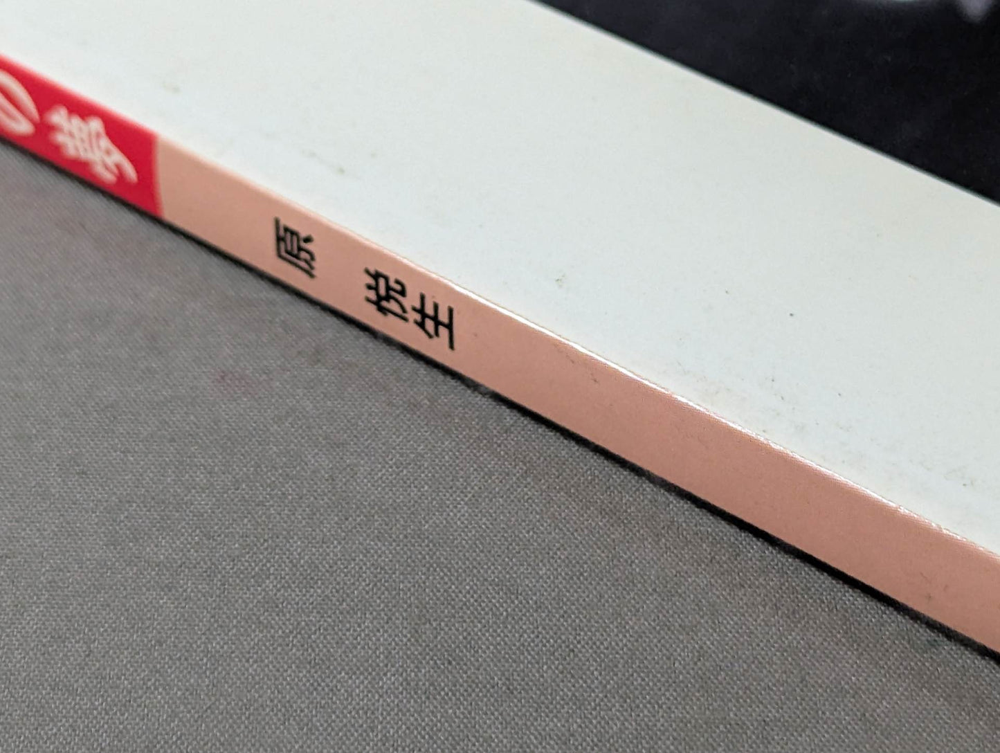 Fighting spirit burning Inoki 's dream