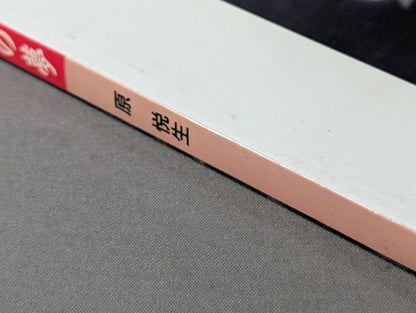 Fighting spirit burning Inoki 's dream