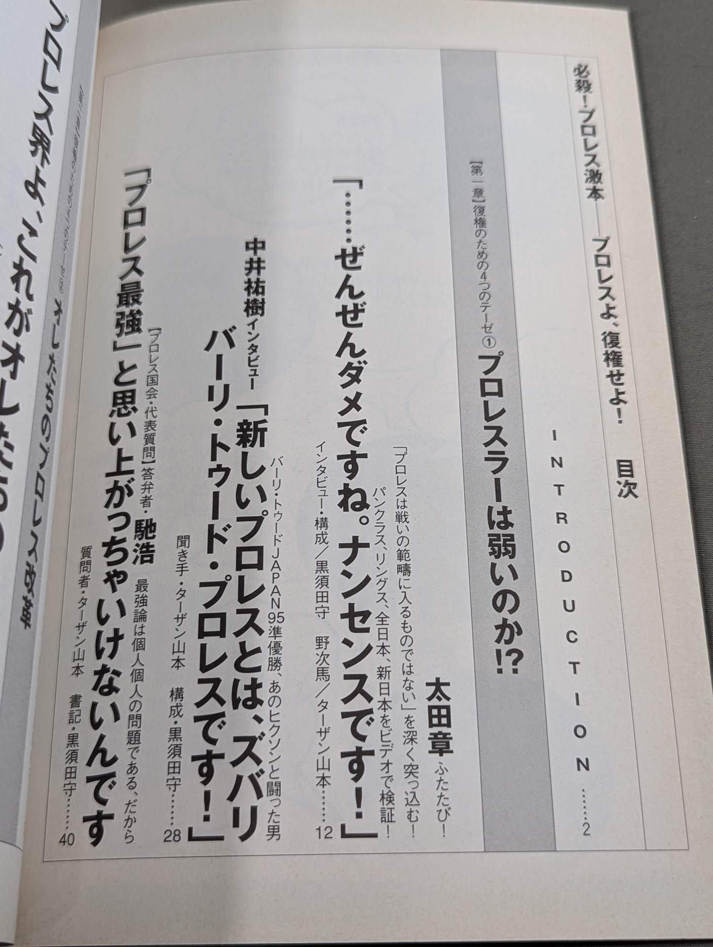 必殺！プロレス激本2 もういちど言う プロレスよ、復権せよ！