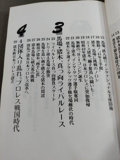 Fateful rival G. Baba A. Inoki  Eternal Struggle