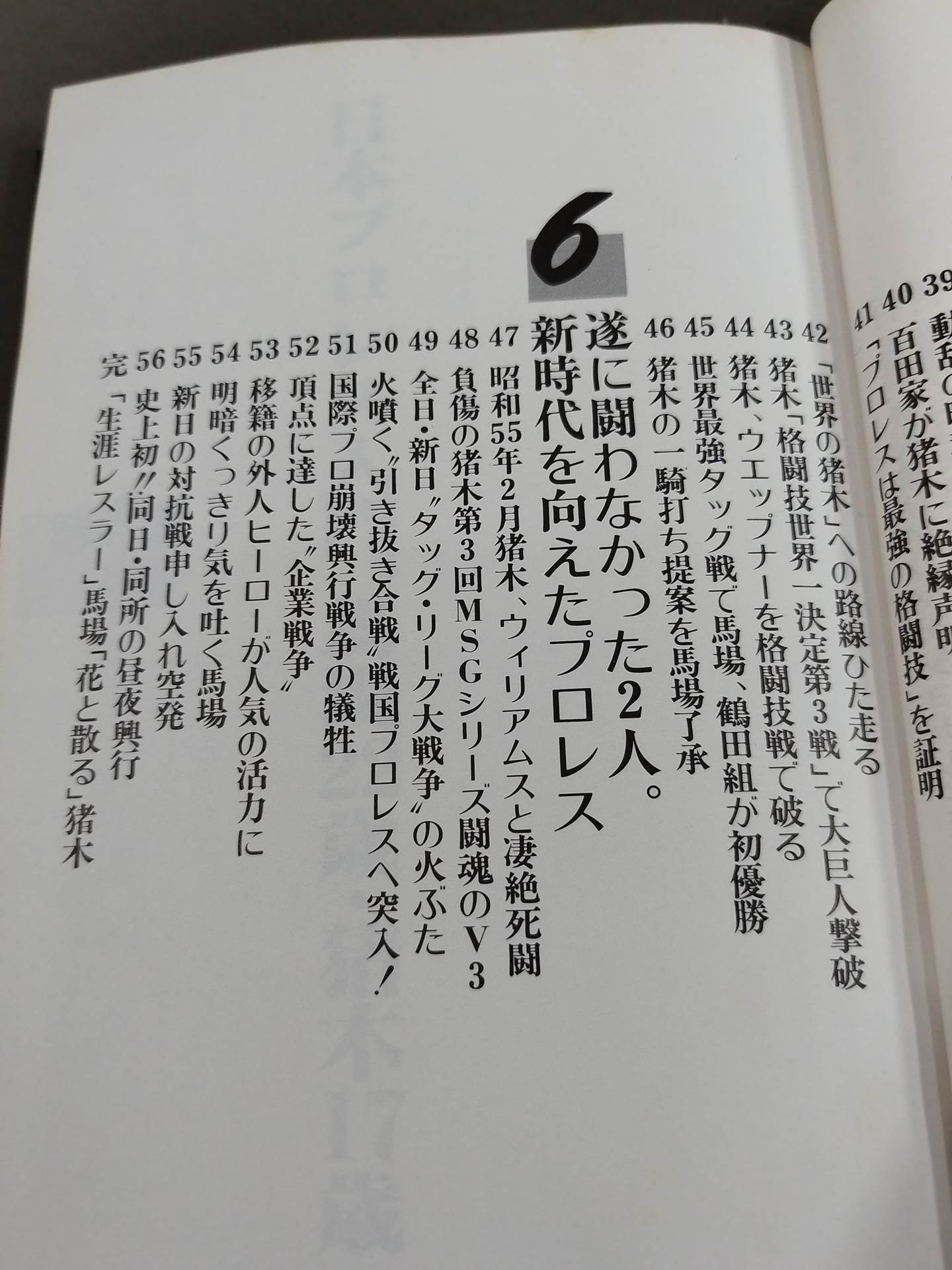 Fateful rival G. Baba A. Inoki  Eternal Struggle
