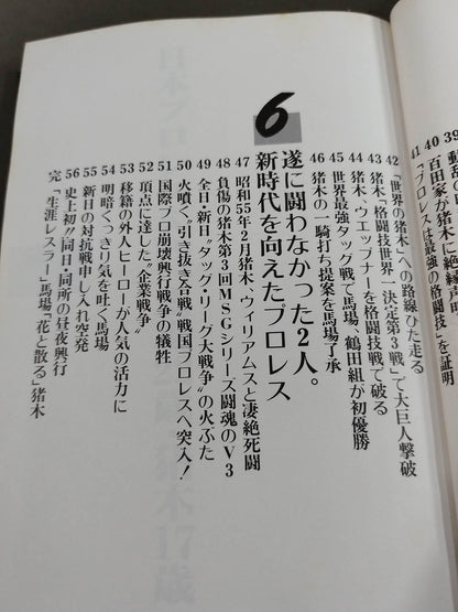 Fateful rival G. Baba A. Inoki  Eternal Struggle