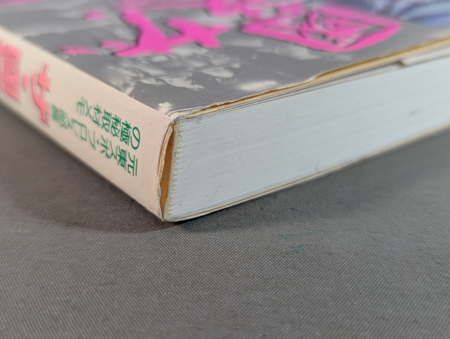 ザ・國技館伝説 元東スポ・プロレス部長の極秘取材メモ 日本マット・インサイドストーリー