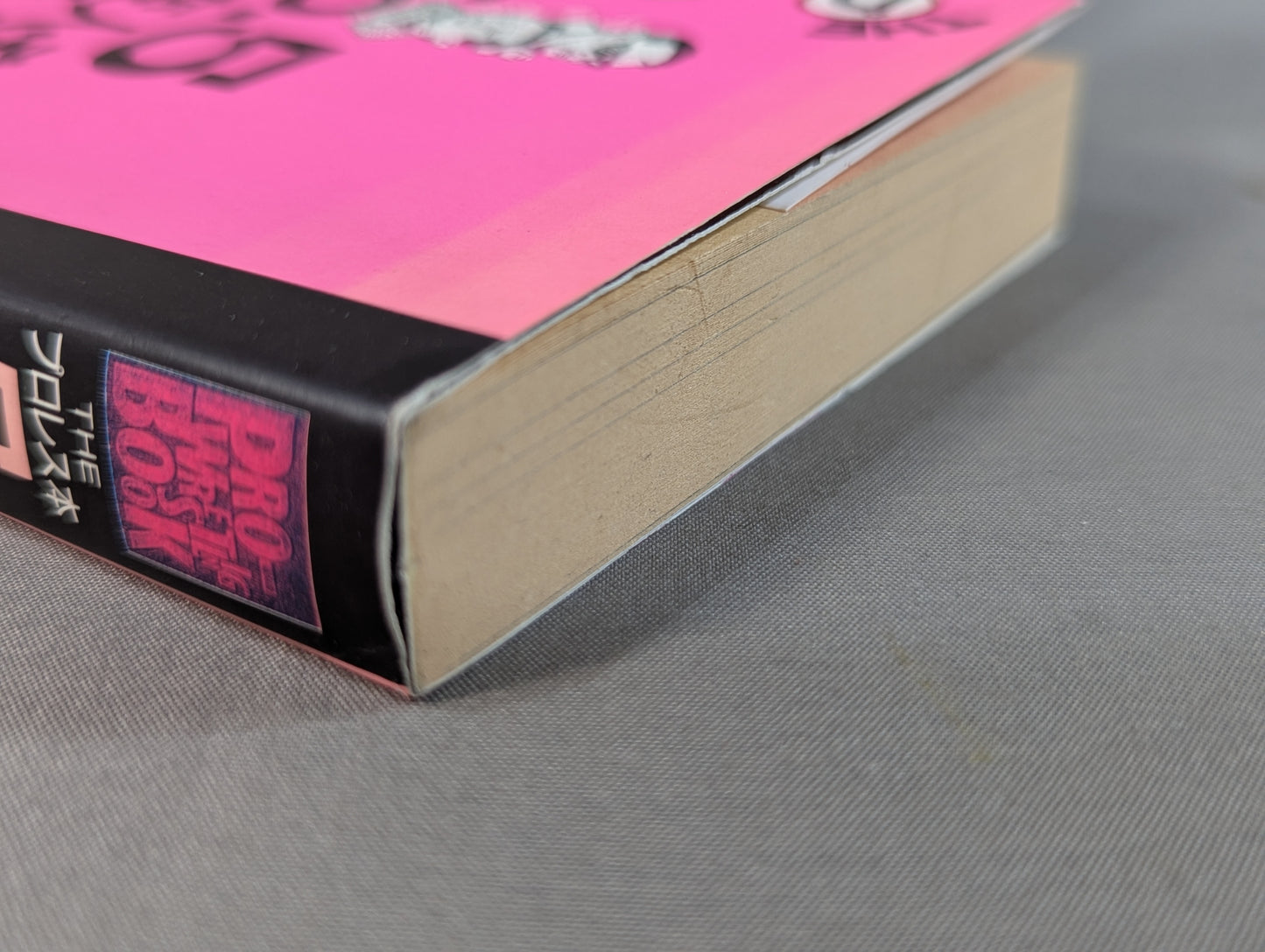 THE Pro Wrestling Book No.5 Misaki Town Weirdo, Strange Man, Monster Biography