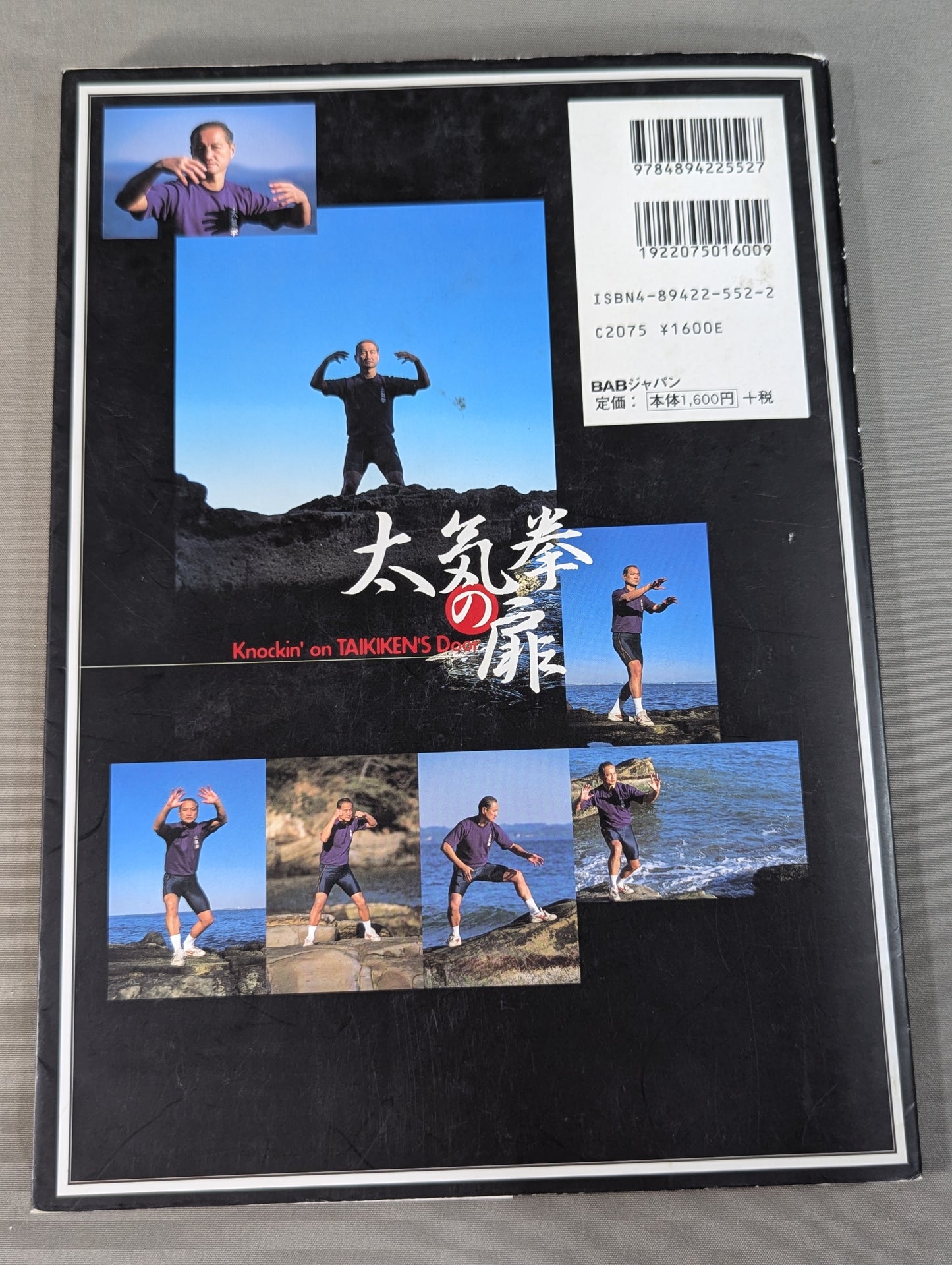 The Door of Tai Chi From Kenichi Sawai to Satoshi Amano Now is the time for Tai Chi Chun to be revealed!