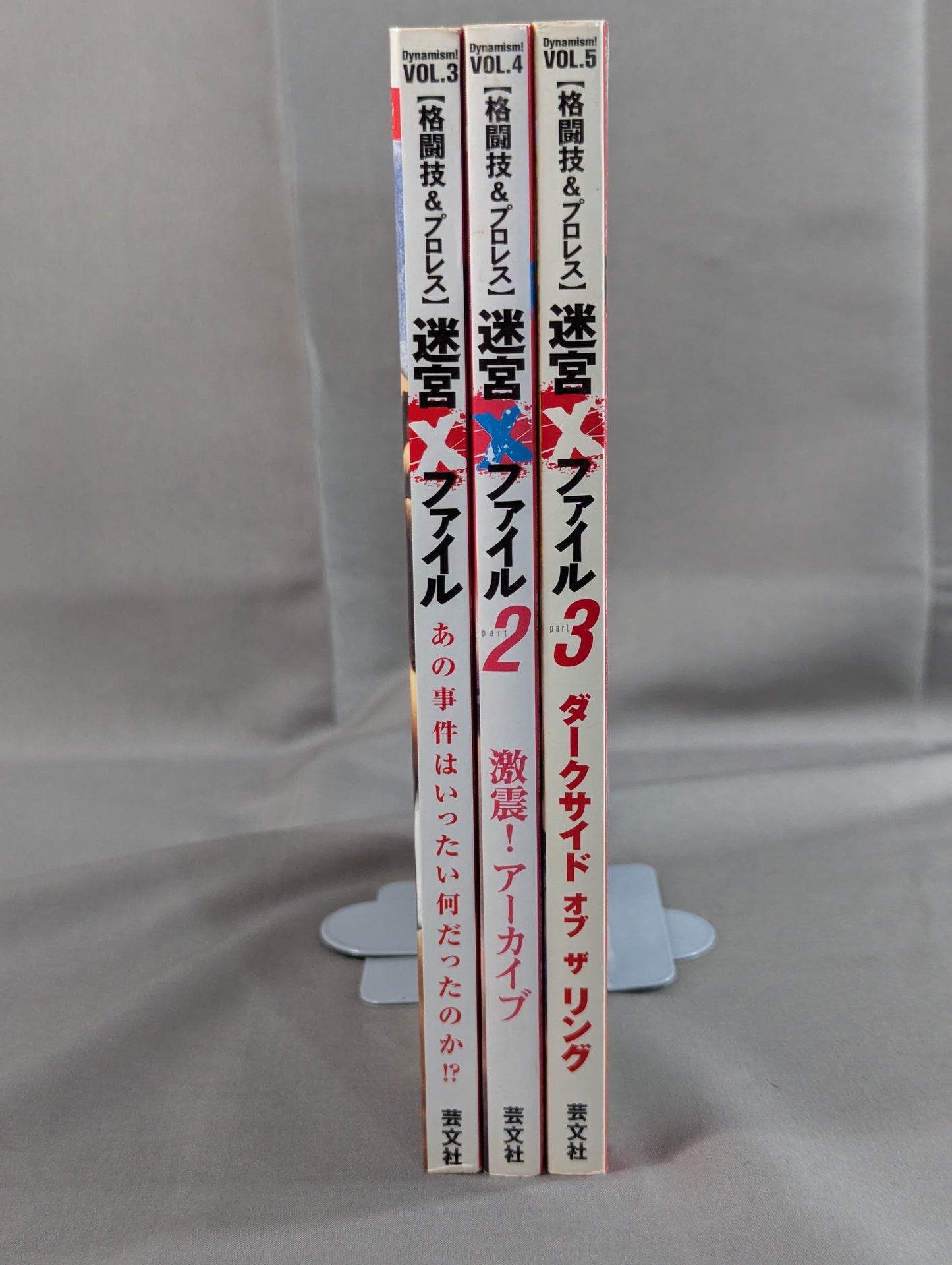 [Complete 3-Book Set] Labyrinth X-Files