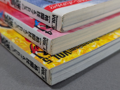 [Complete 3-Book Set] Labyrinth X-Files