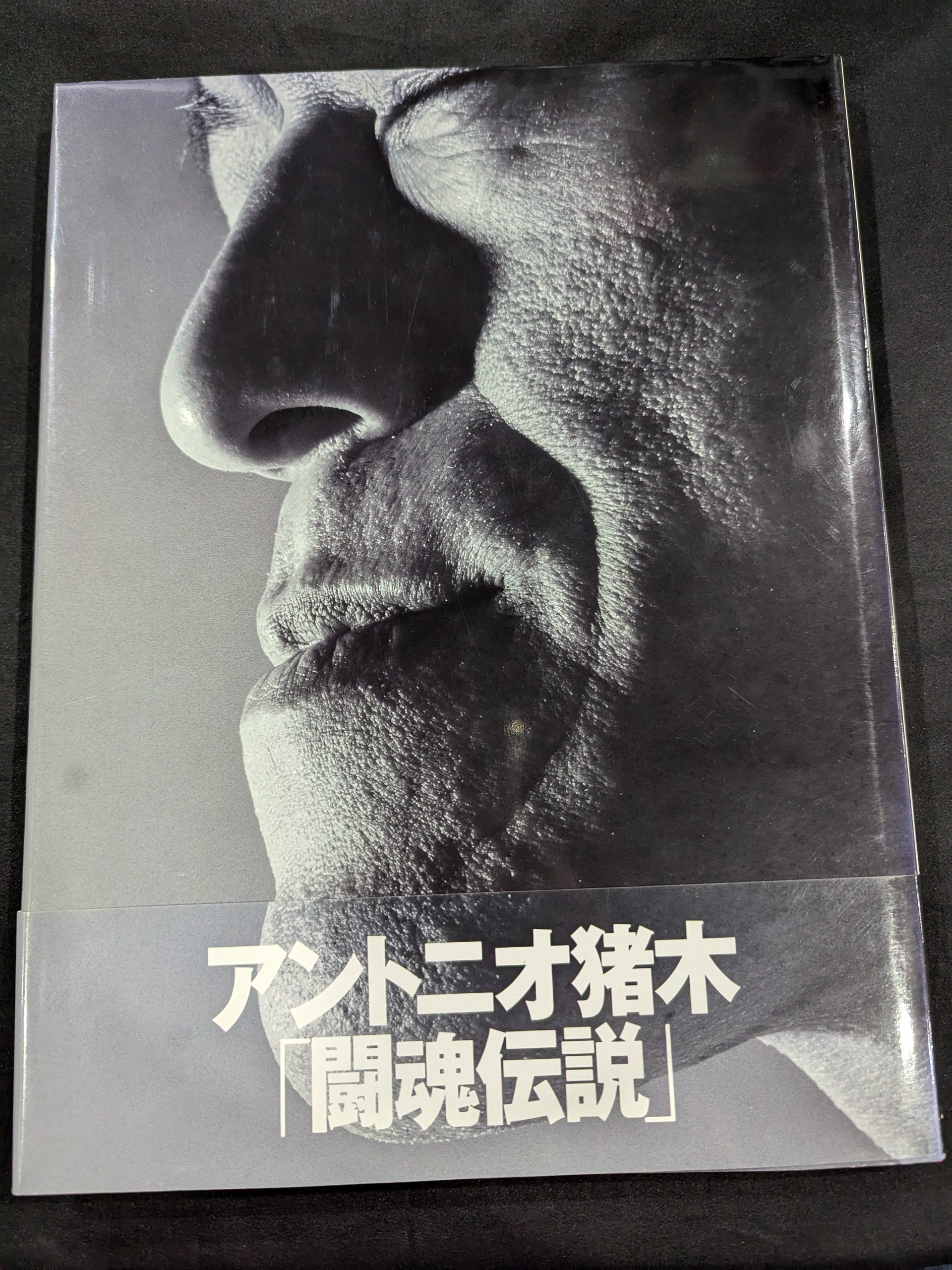 直筆サイン入り】アントニオ猪木｢闘魂伝説｣ – 闘道館