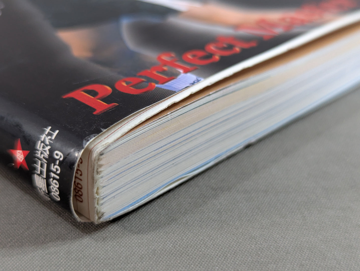 【DVD付】DVDシリーズ ボクシング・パーフェクトマスター