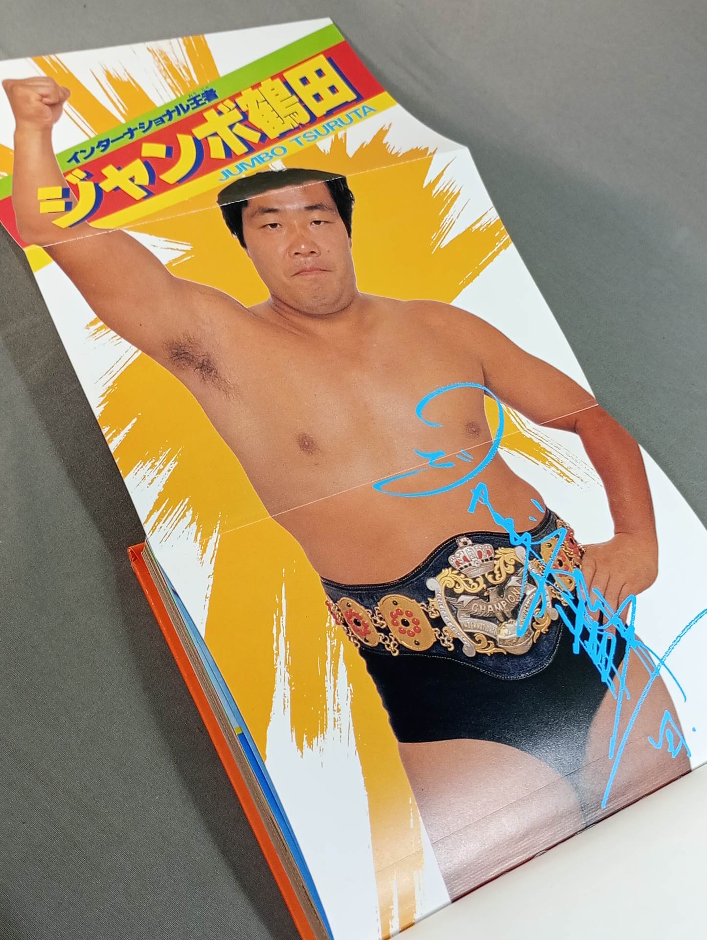 レッツ・ファイト!プロレス 小学館入門百科シリーズ145