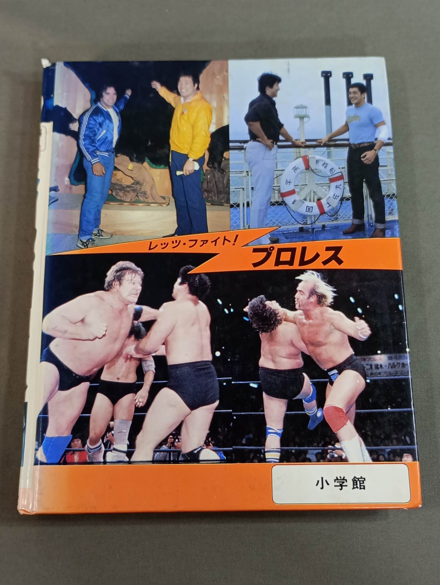 レッツ・ファイト!プロレス 小学館入門百科シリーズ145