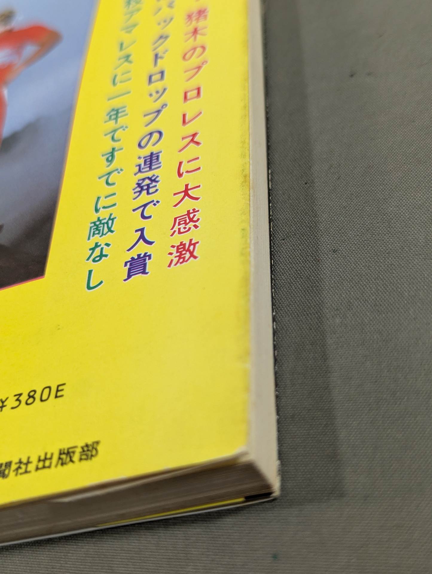 虎戦士タイガー・マスク スーパーヒーローの素顔 – 闘道館