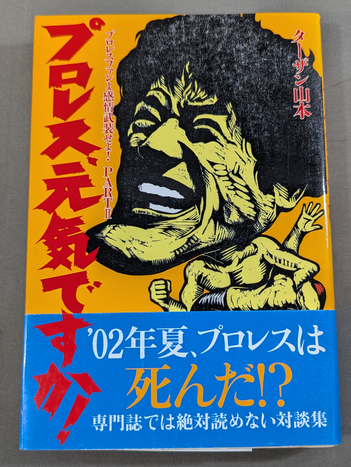 プロレス､元気ですか! プロレスファンよ感情武装せよ!PARTⅡ