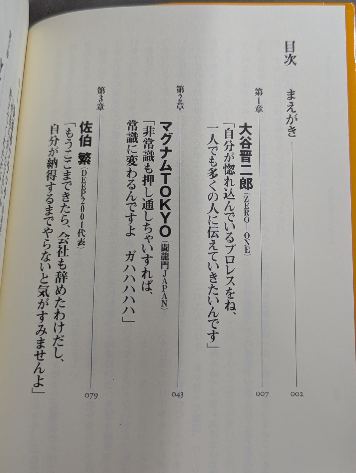 プロレス､元気ですか! プロレスファンよ感情武装せよ!PARTⅡ