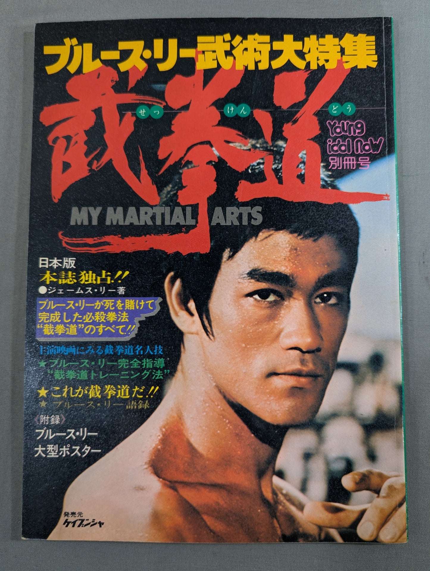 ブルース・リー武術大特集 截拳道(せっけんどう)