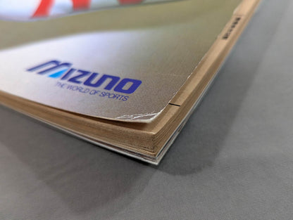 100 world-famous boxers [Expanded and revised edition] from Muhammad Ali To Yoko Gushiken