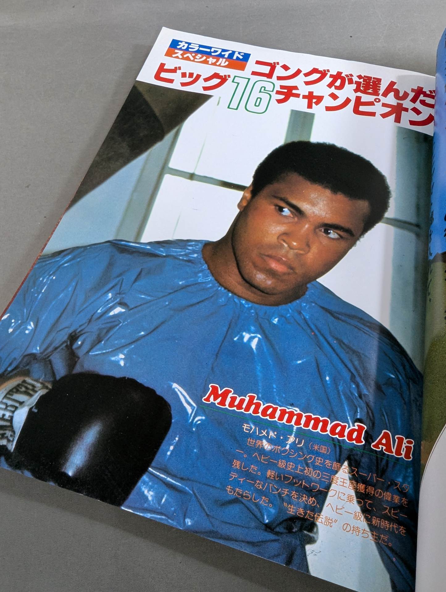 100 world-famous boxers [Expanded and revised edition] from Muhammad Ali To Yoko Gushiken