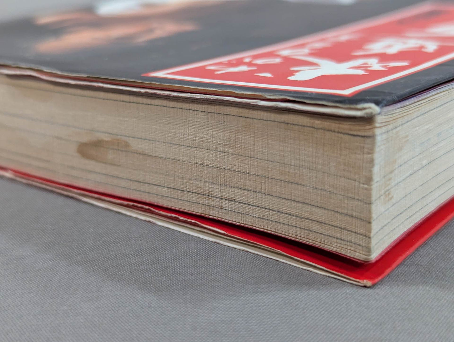 わがカラテ 求道万日