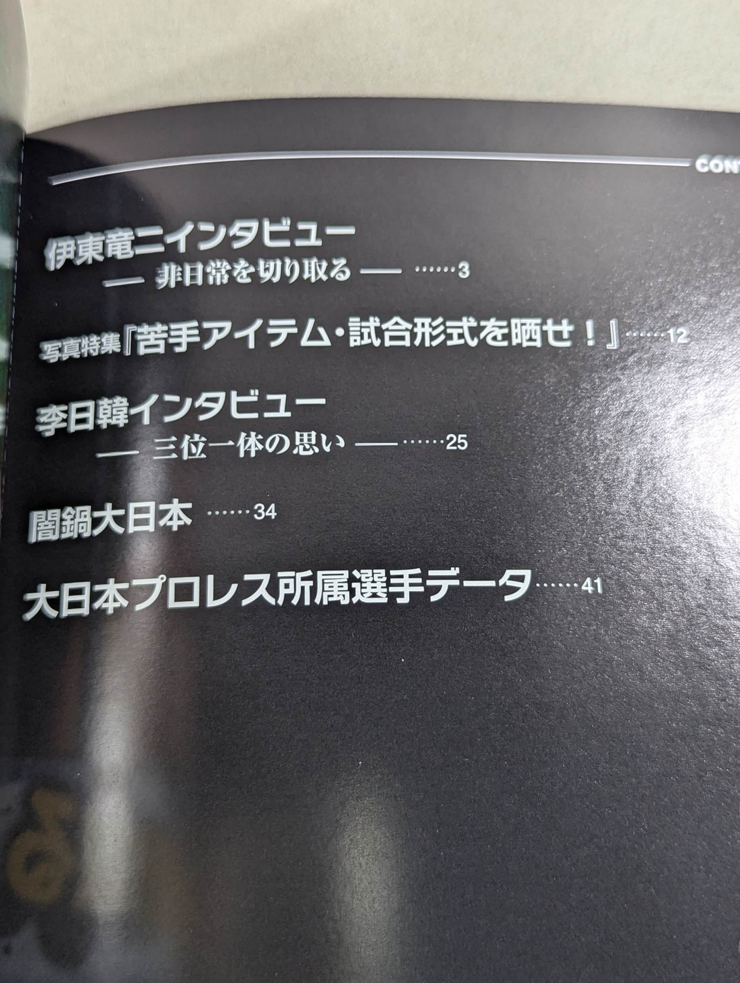 [Ryuji Ito  hand signed autograph ] Pro Wrestling  Bungei Vol.8